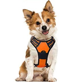 Dog Harnesses, Pet Products, Pet Supplies