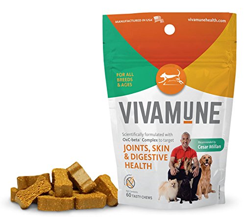 Vivamune Health Chews -  with CESAR MILLAN, For Joint, Skin, & Digestive Health