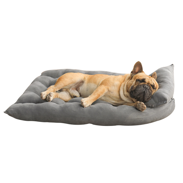 functional dog sofa bed