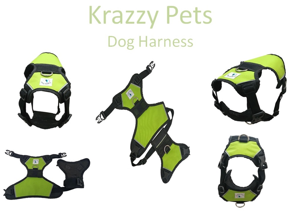 Soft Padding Sports Dog Harness