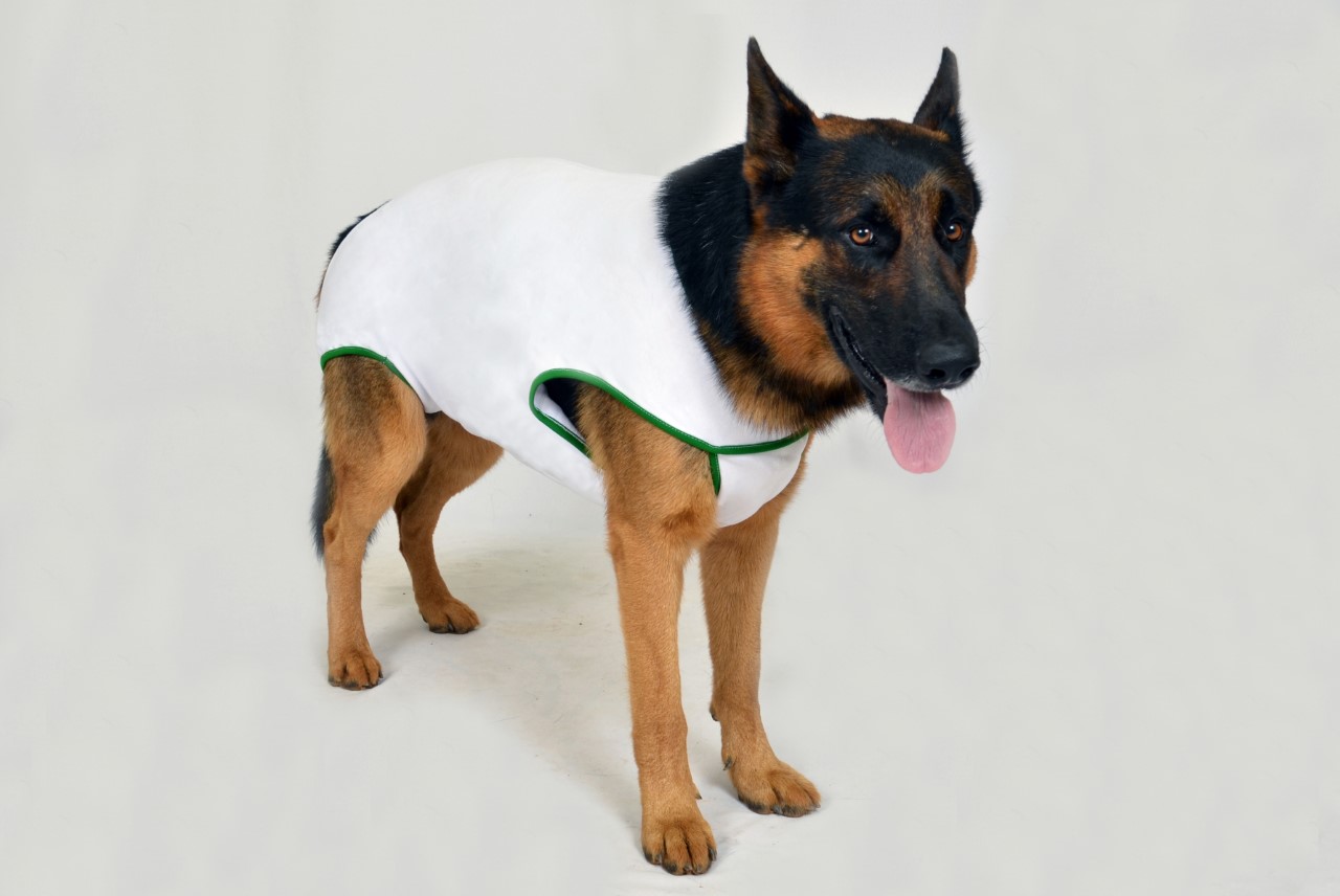 UNISSEX SURGICAL POST CLOTHING FOR DOGS