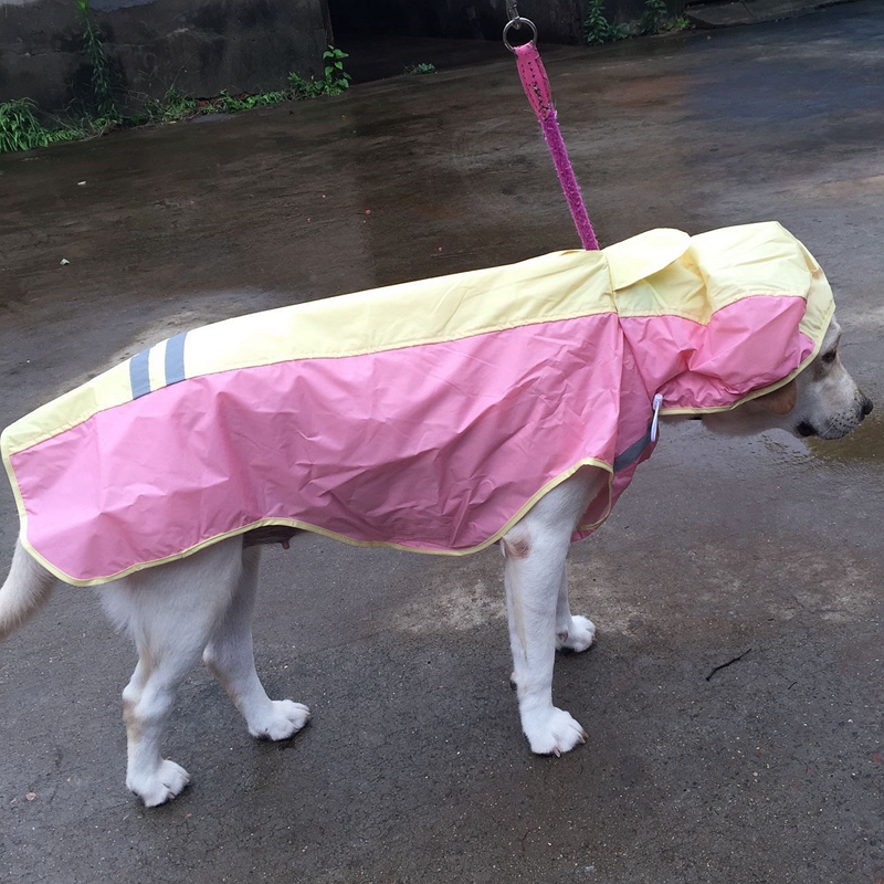 dog raincoat pvc material waterproof dog clothing