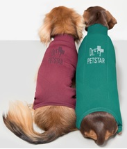 Dr.petstar joint body supporter for Dachshund ( to protect common spine issue for Dachshund)