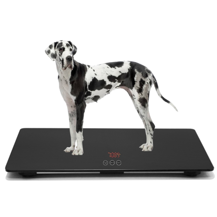 Pet weight scale capacity 100KG KG/LB switchable use for home and clinic hospital big dog scale