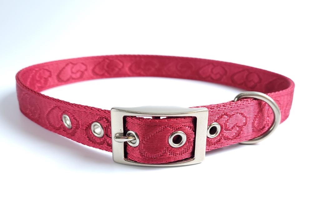 Solid Bet Buckle Jacquard Collar - Premium Red