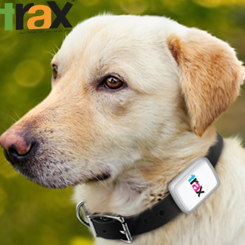 Trax GPS - the world抯 smallest & lightest, real-time GPS tracker for pets. 