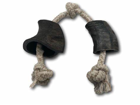 water buffalo horn dog toy with cotton rope